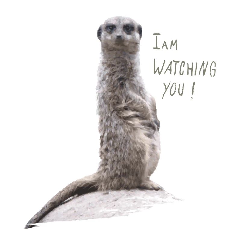 Erdmaennchen watching