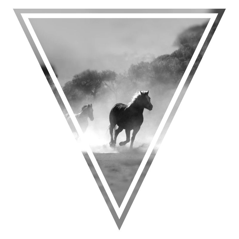 PFERDE S/W