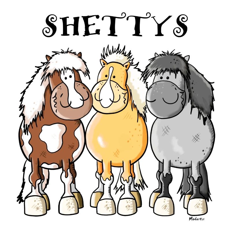 Shetlandpony Trio