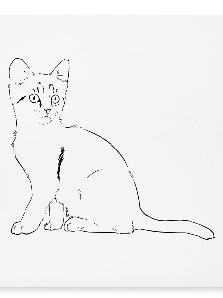 Katze Illustration