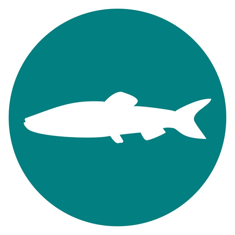 Fisch