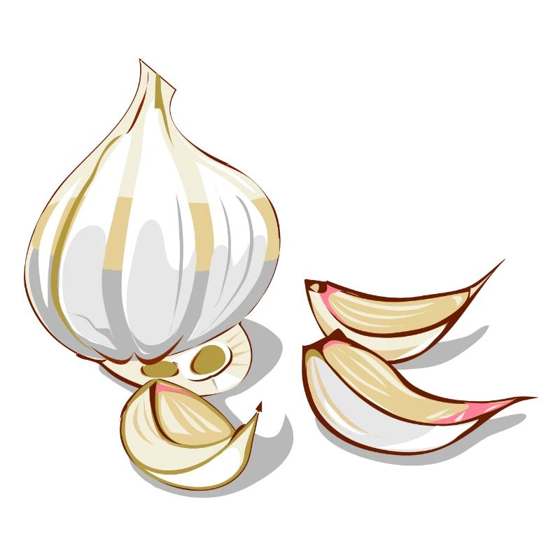 Knoblauch Garlic