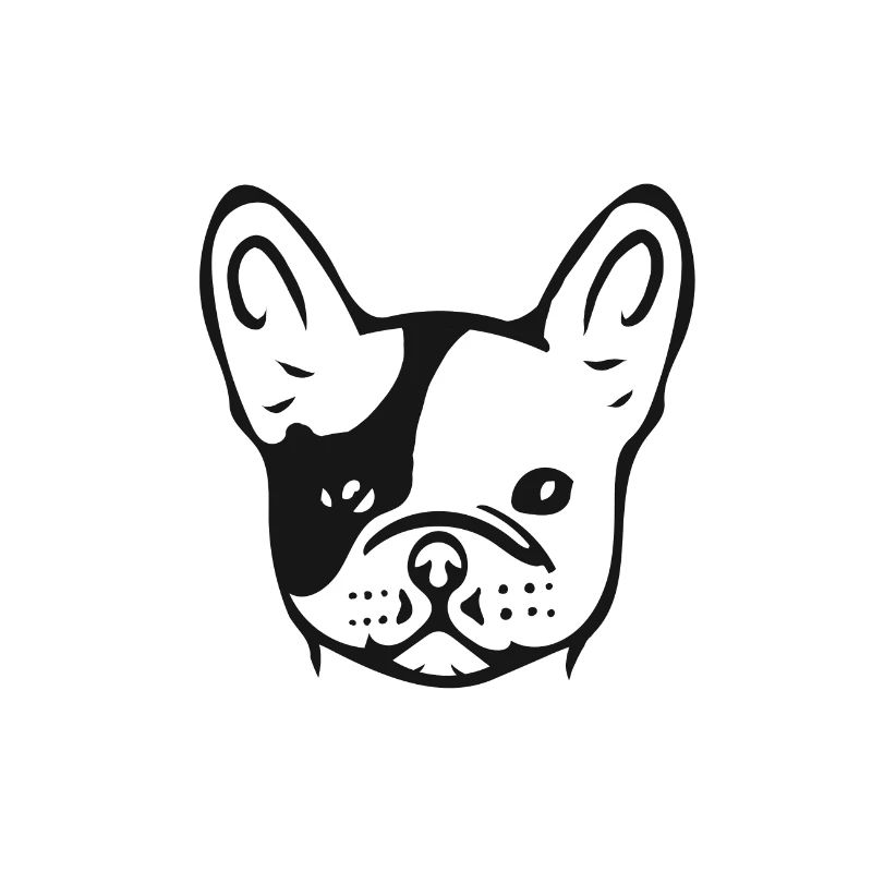 French bulldog