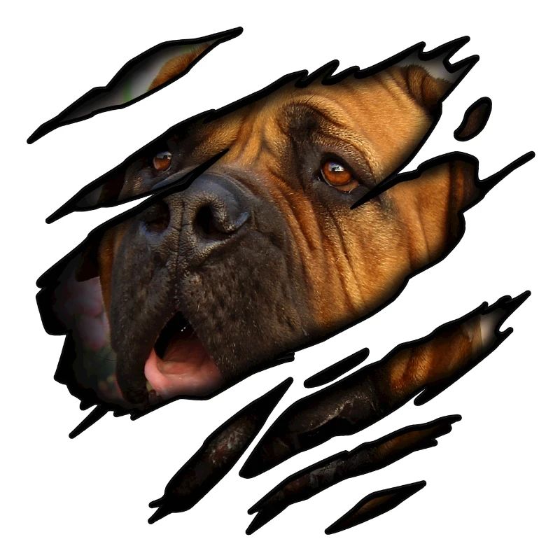 Bullmastiff in mir