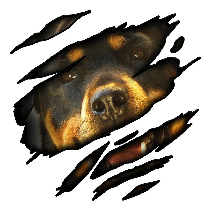 Rottweiler in mir