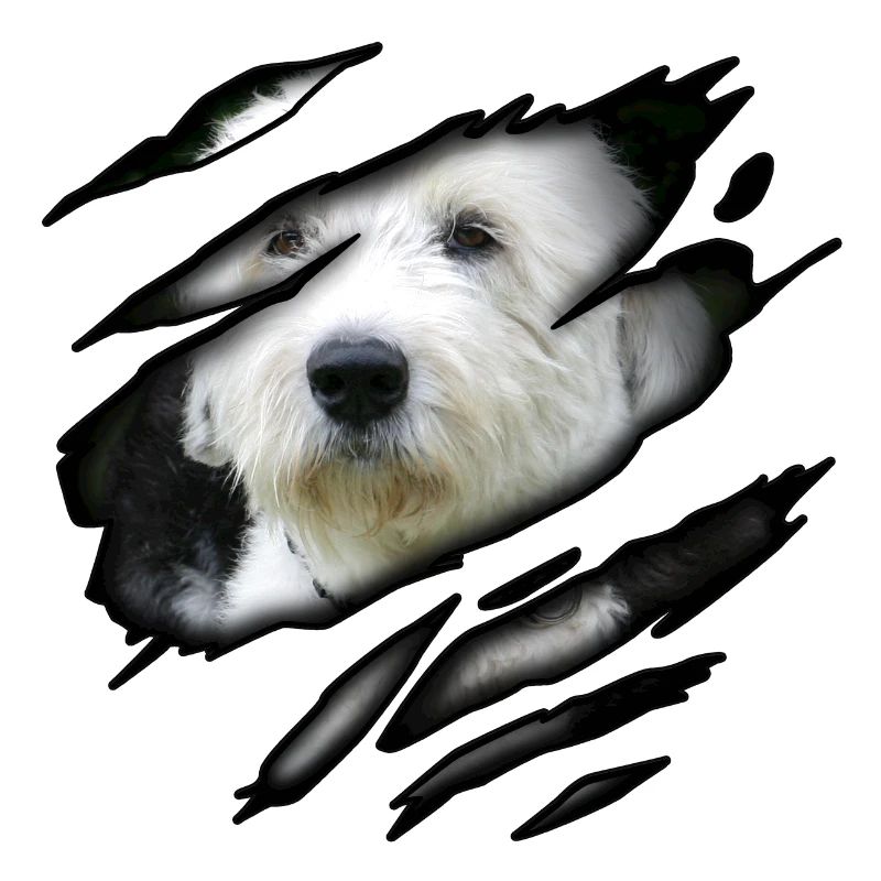 Bobtail in mir