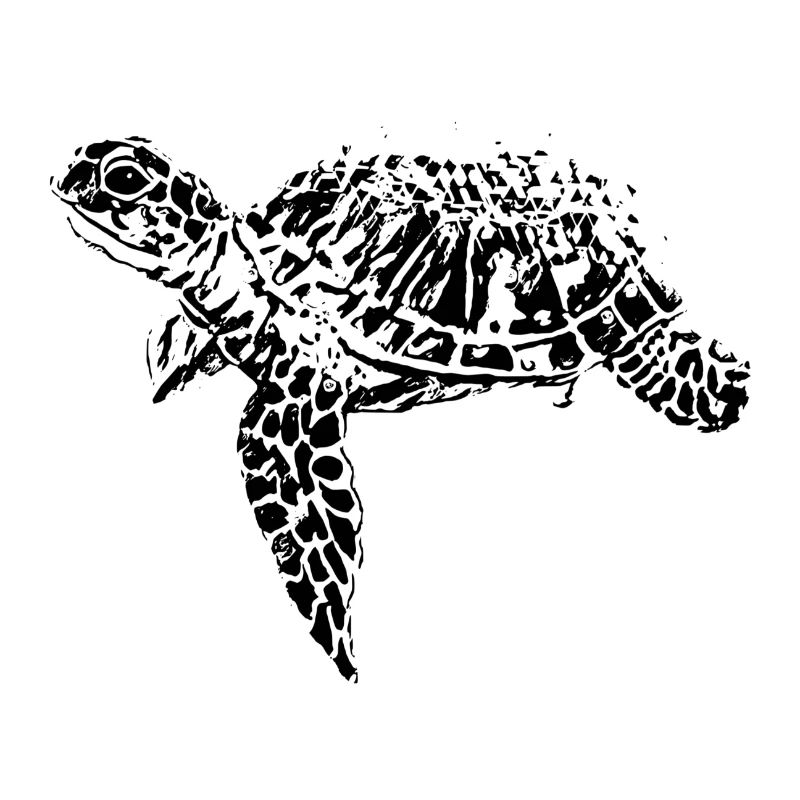Schildkröte