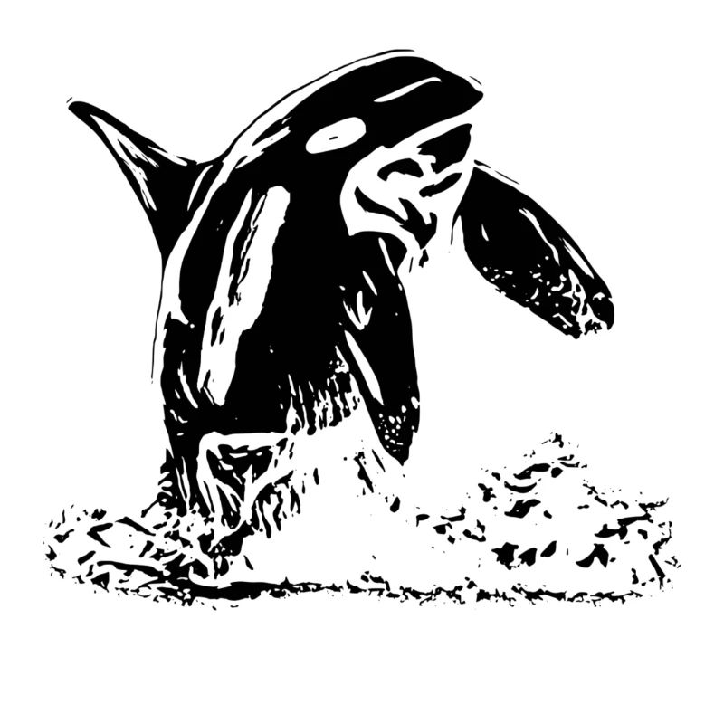 Orca