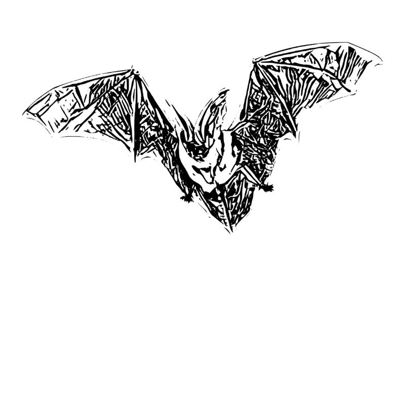 Fledermaus