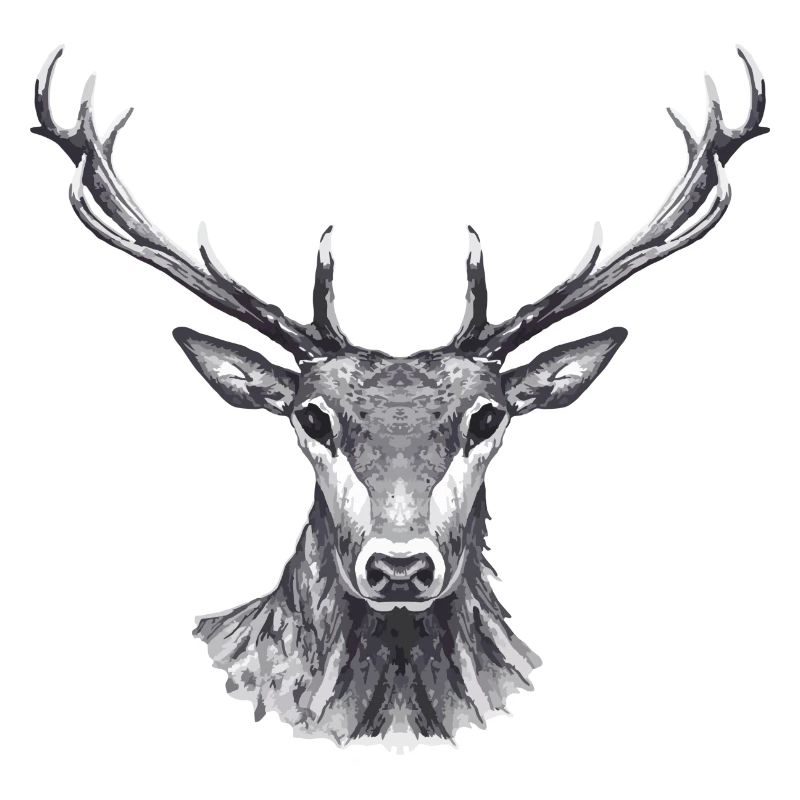 Hirsch