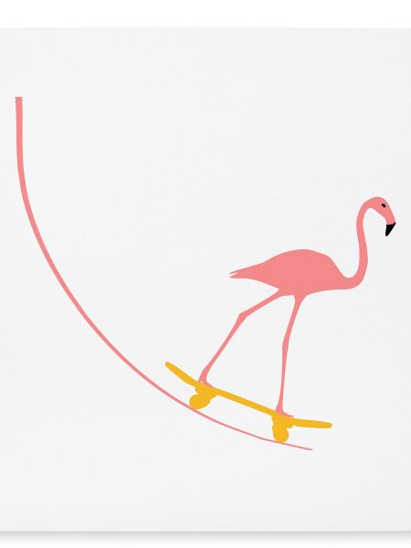 Flamingo auf Skateboard