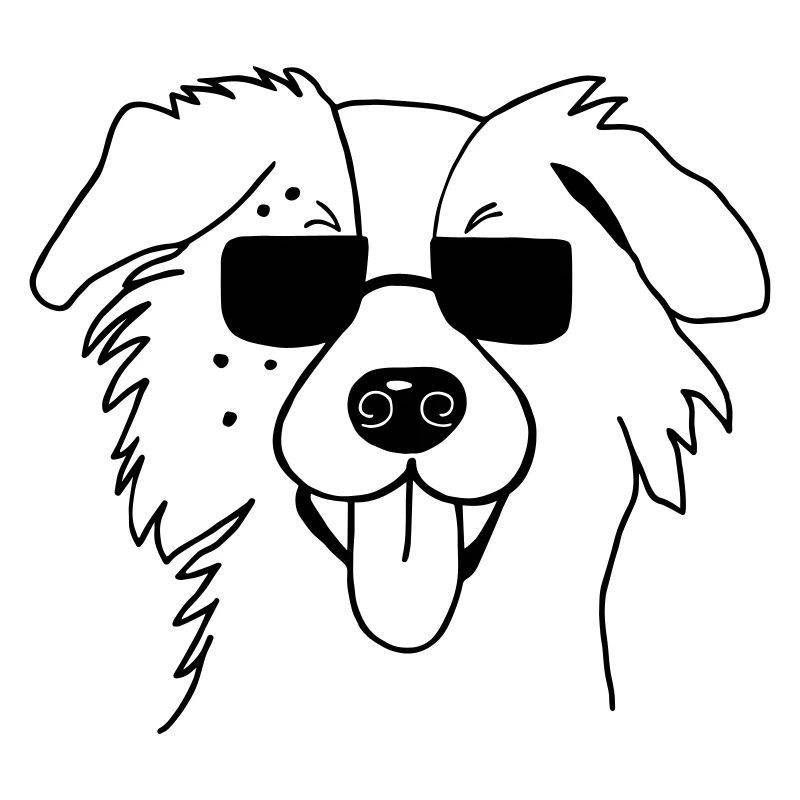 Australian Shepherd Aussie Hund Haustier