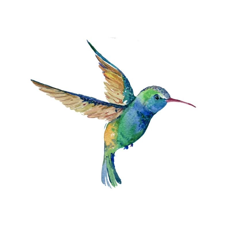 Summenvogel-Liebhaber-Vogelbeobachter-Geschenk-Entwurf