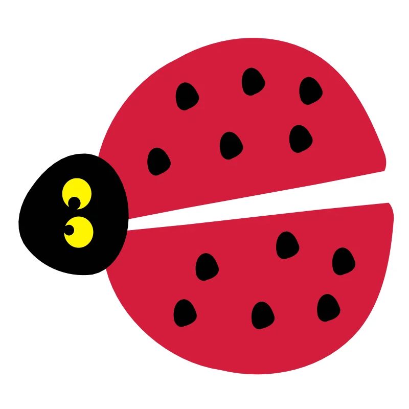 ladybug insects