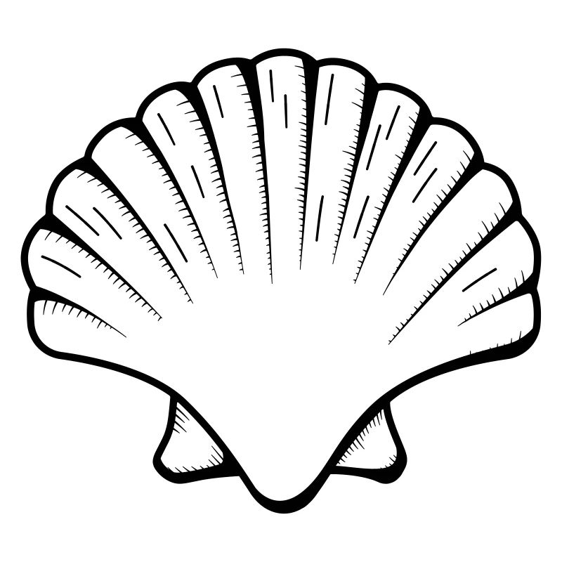 Muschel