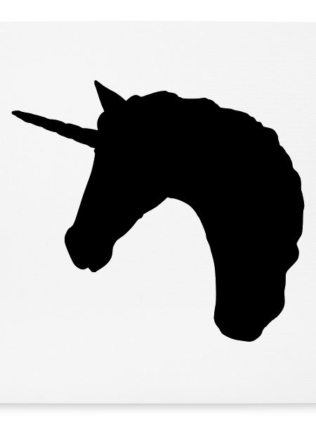 Einhorn Profil