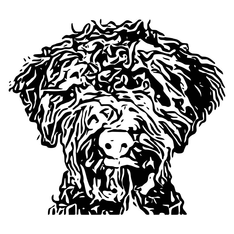 lagotto3 5