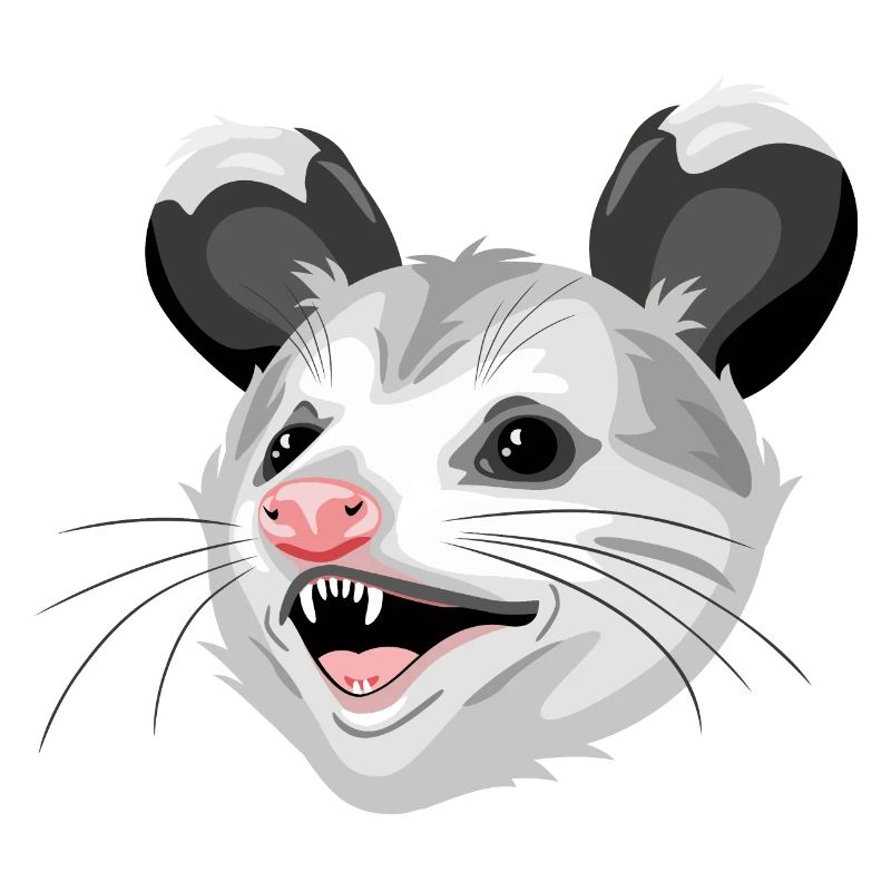 Opossum-Kopf