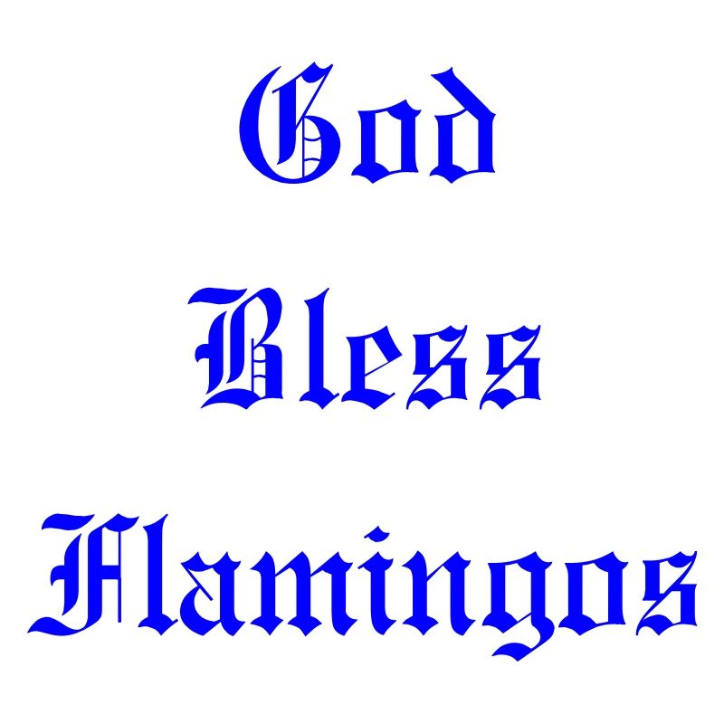 GodBlessFlamingos