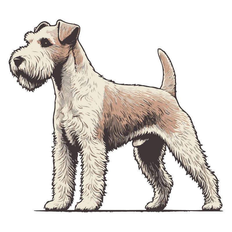 Terrier