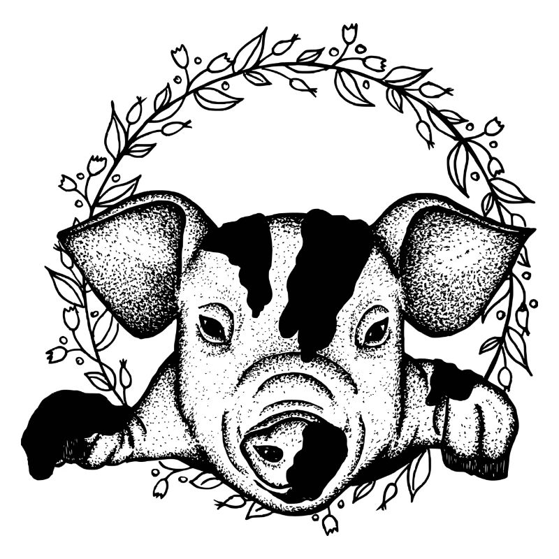 Schwein