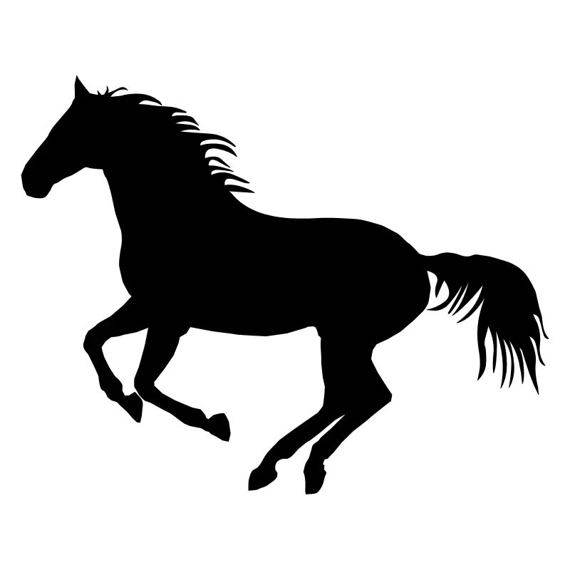 Wild Horse