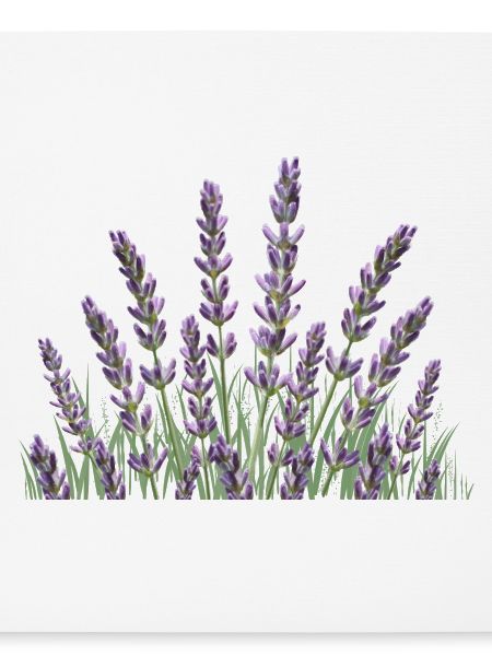 Lavendelhalme Lavendel