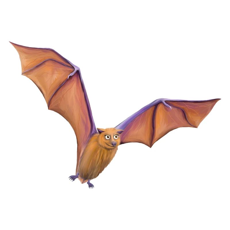 Flughund Fledermaus