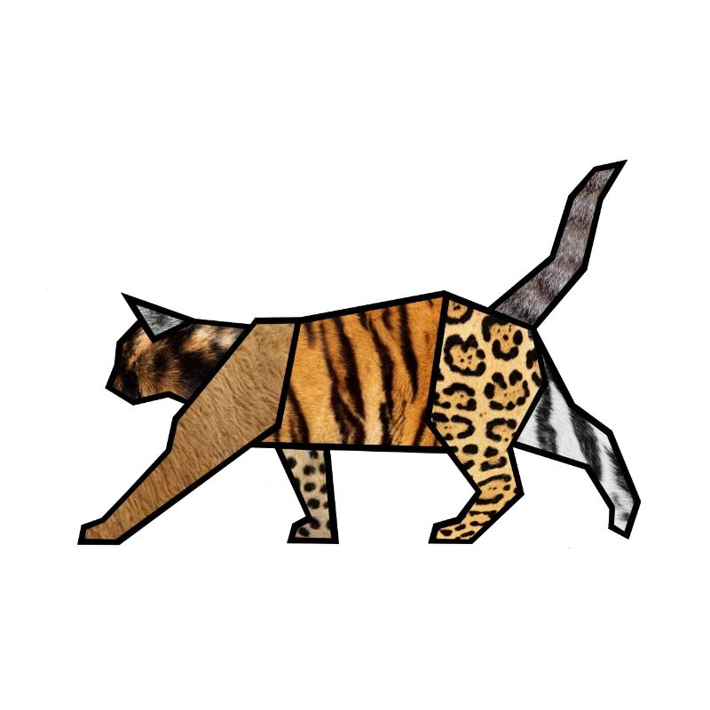 Katzen-