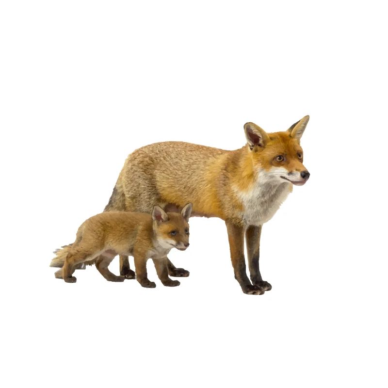 Fuchs