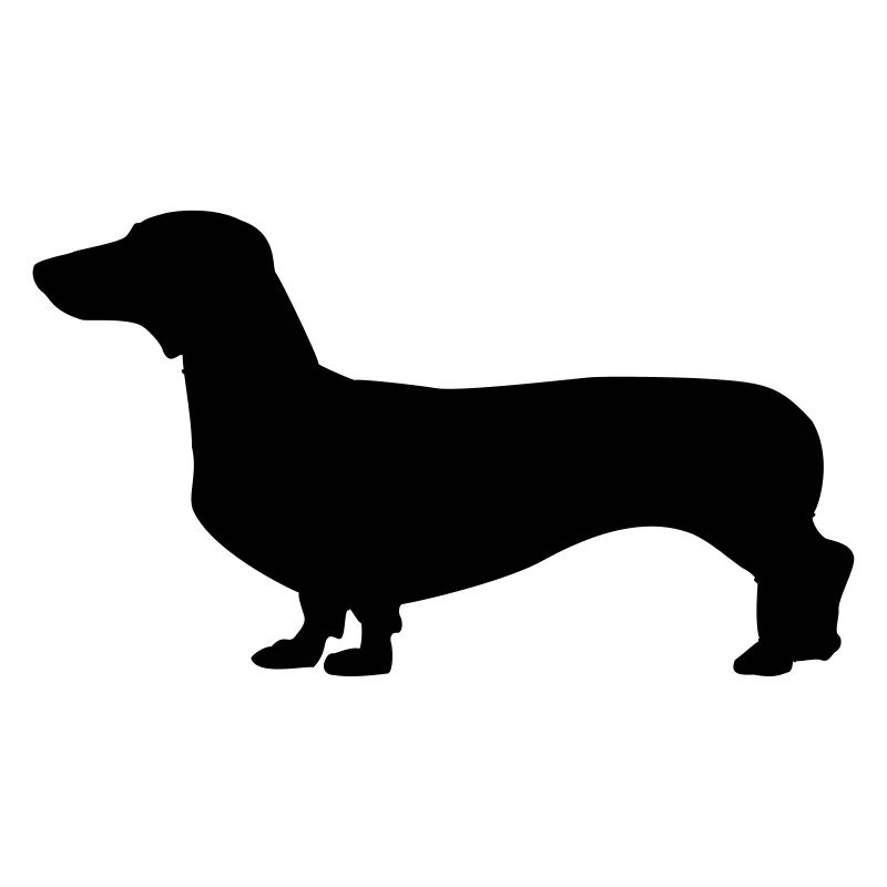 Dog - Dachshund
