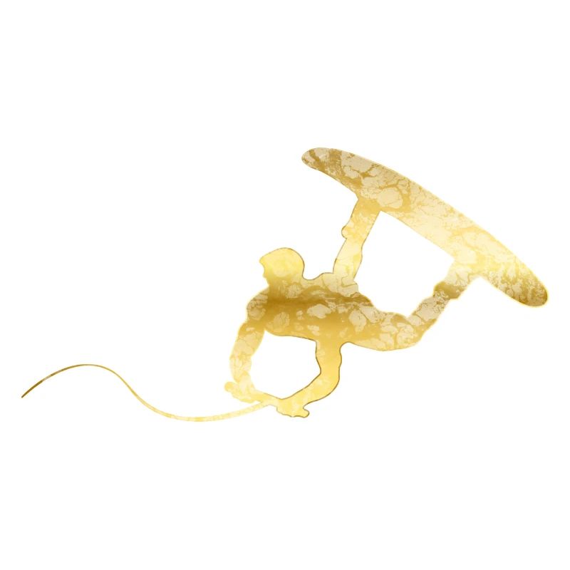 Wakeboarder gold waves gift