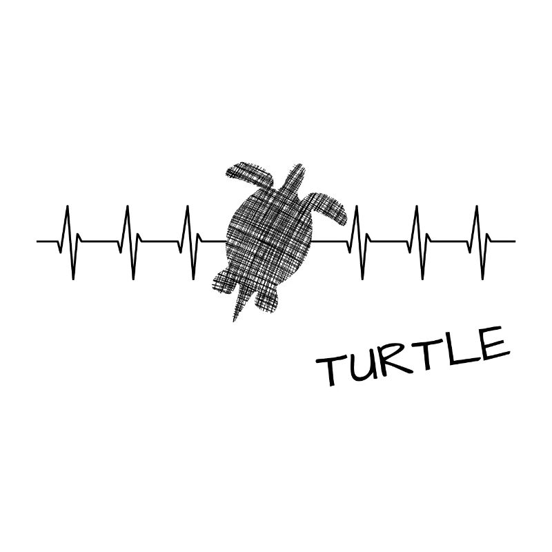 Turtle Schildkröte