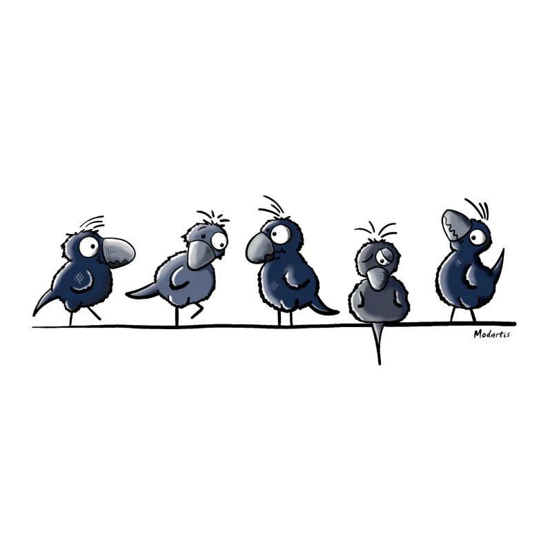 Funny Raven