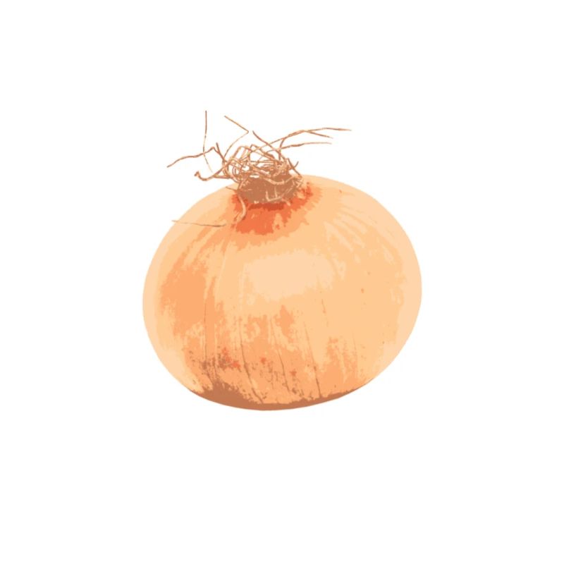 Zwiebel