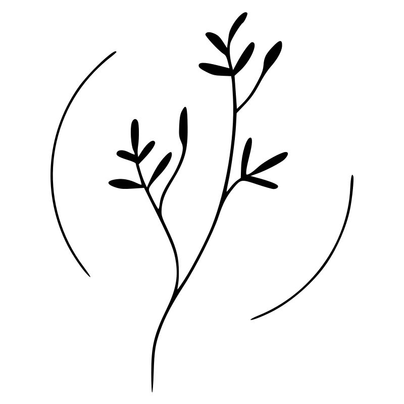Zweig im kreis
