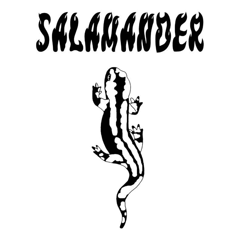 Schwarzer Salamander