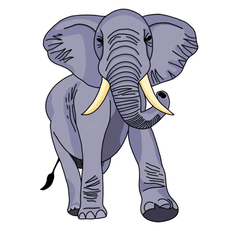 Elefant
