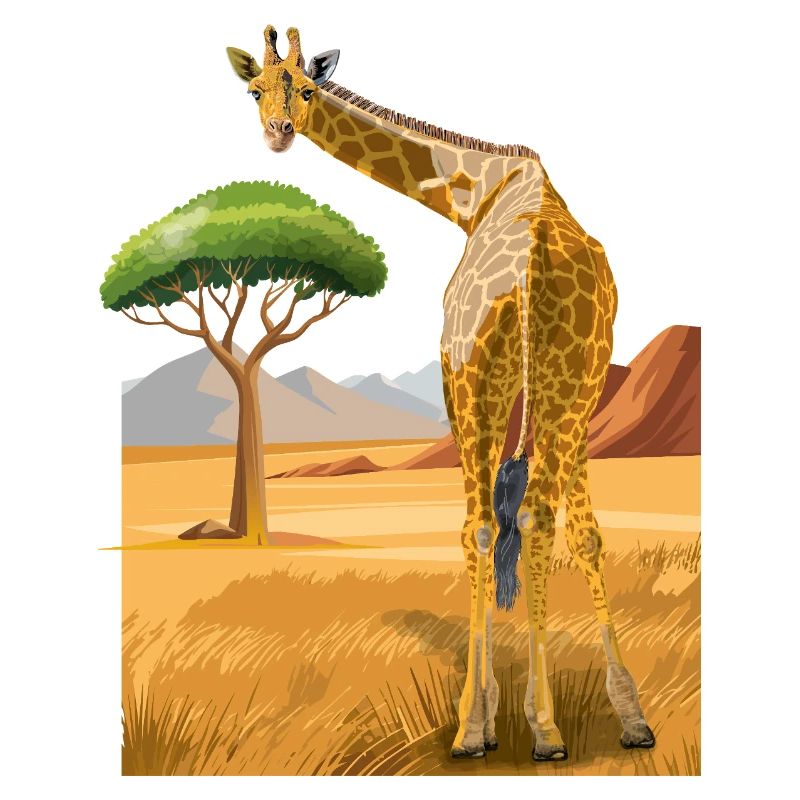 Giraffe schaut freundlich