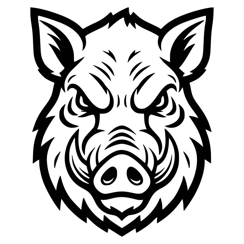 Wild Boar Head Boar Aggressive Vector