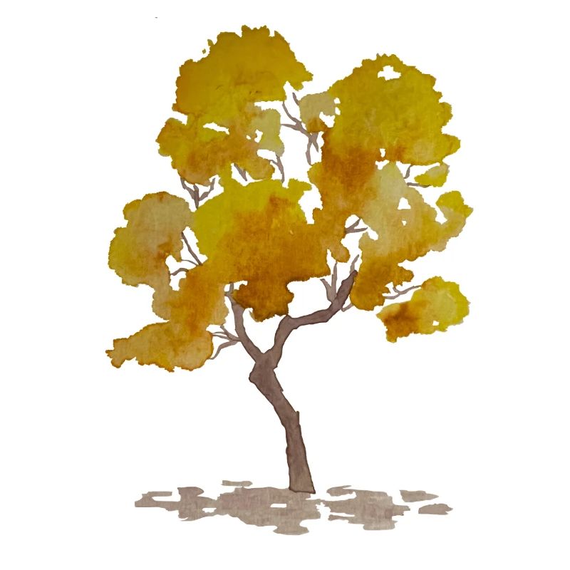 Arbre d'automne