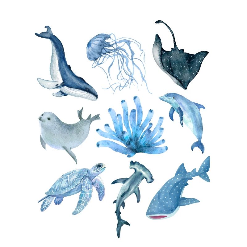 Ocean animals