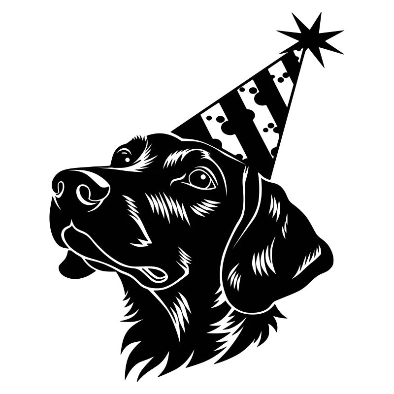 Schwarzer Dackel mit Party-Hut