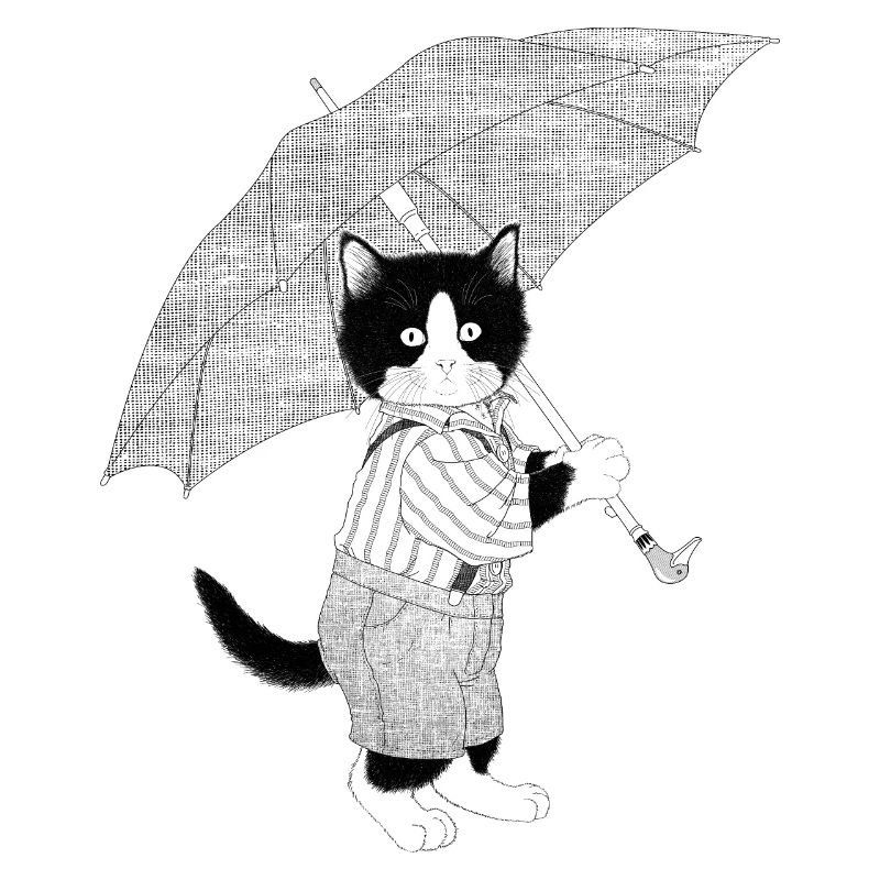 Katze Regenschirm blackwhitecontest