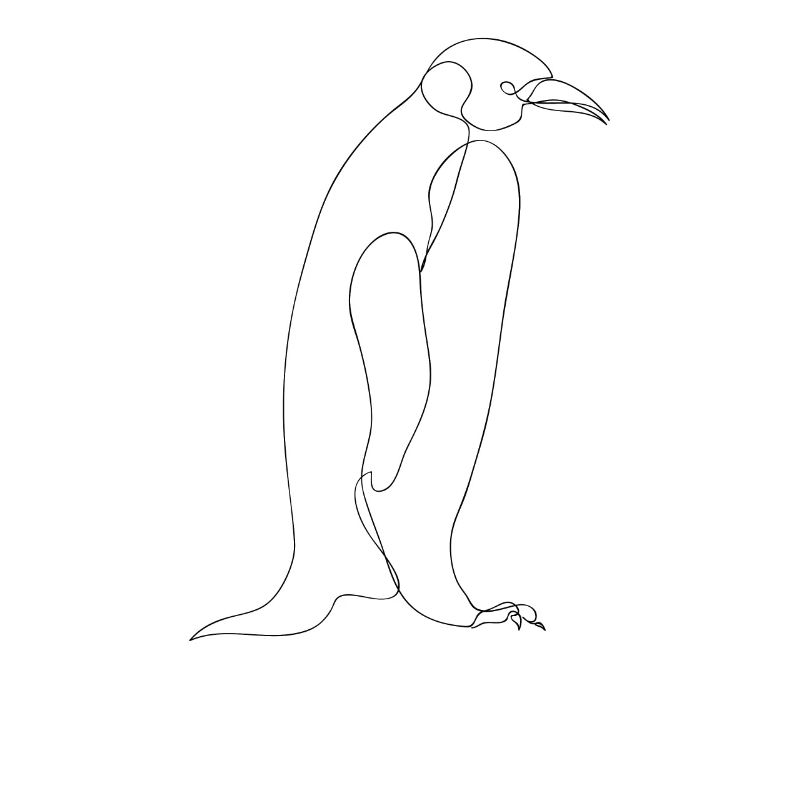 Pinguin Zeichnung