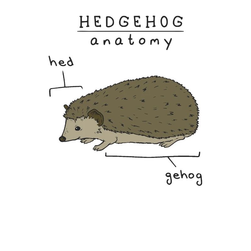 Igel Haustier