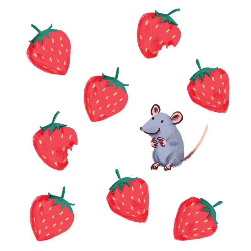 lecker Erdbeeren Mausi