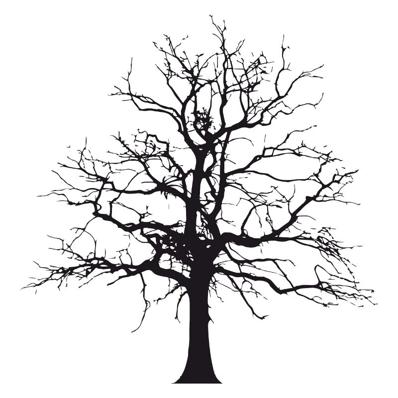 Baum Schatten