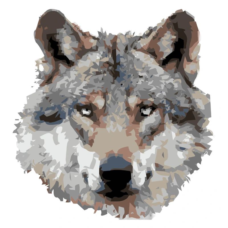 Wolf (grau)