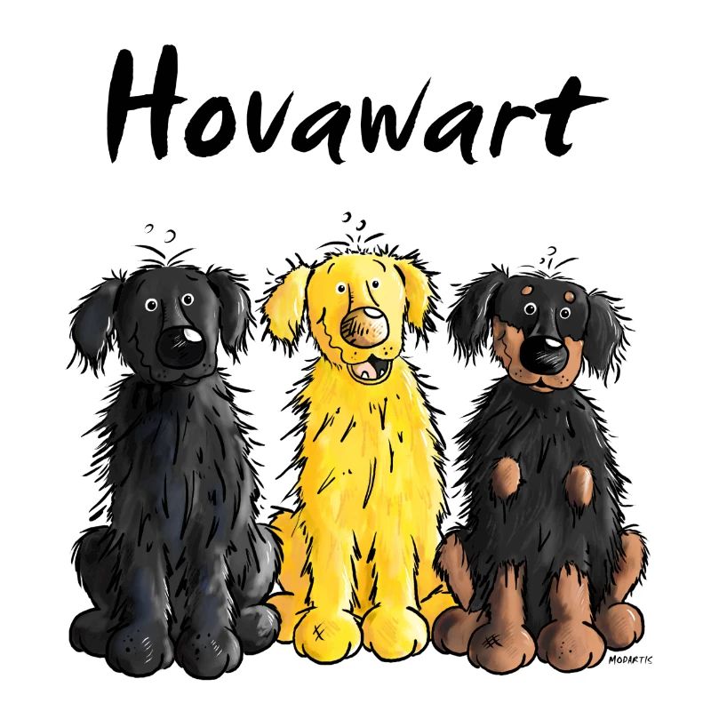 Hovawart - Hovi - Hund
